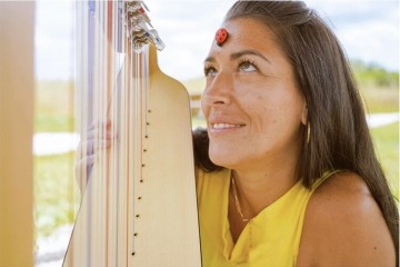 Le voyage de la Coccinelle