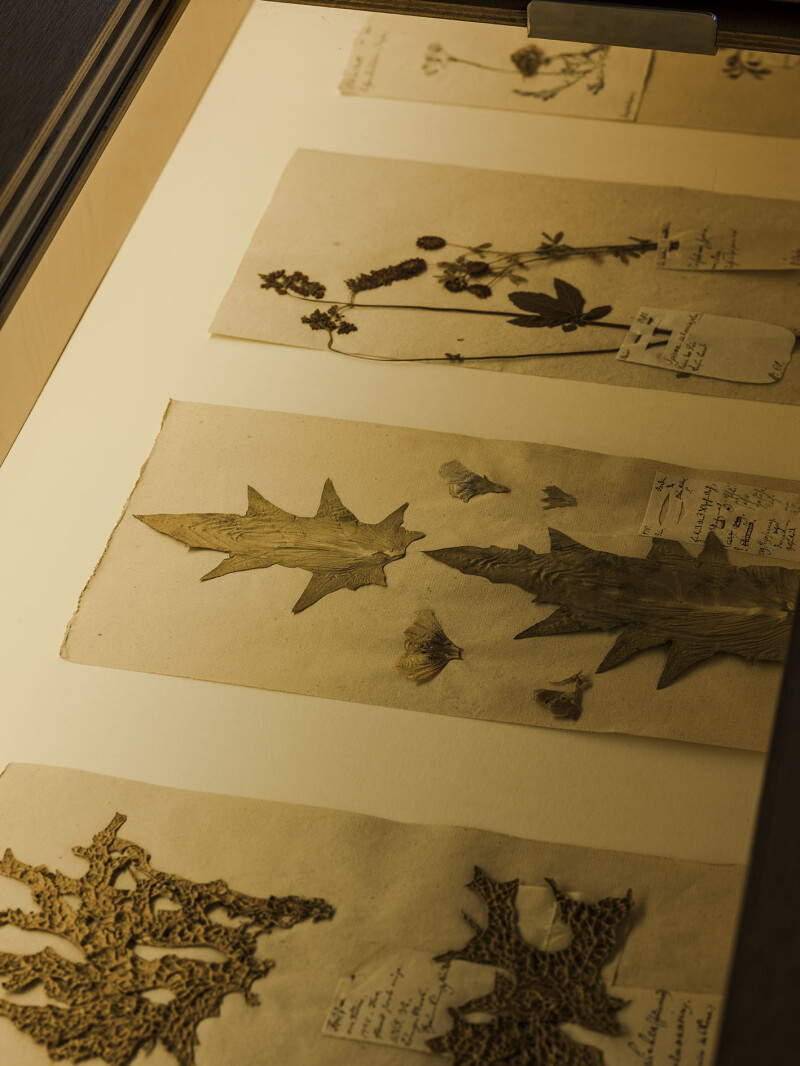 Visite guidée à la lampe torche