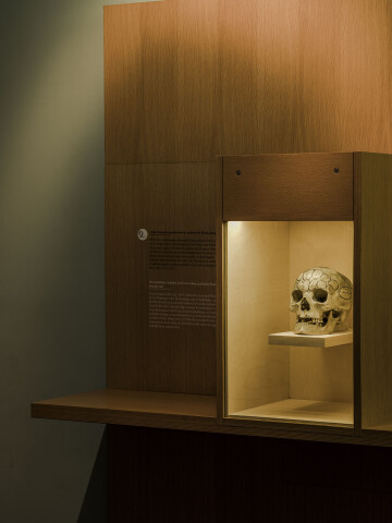 Des intrus au Musée