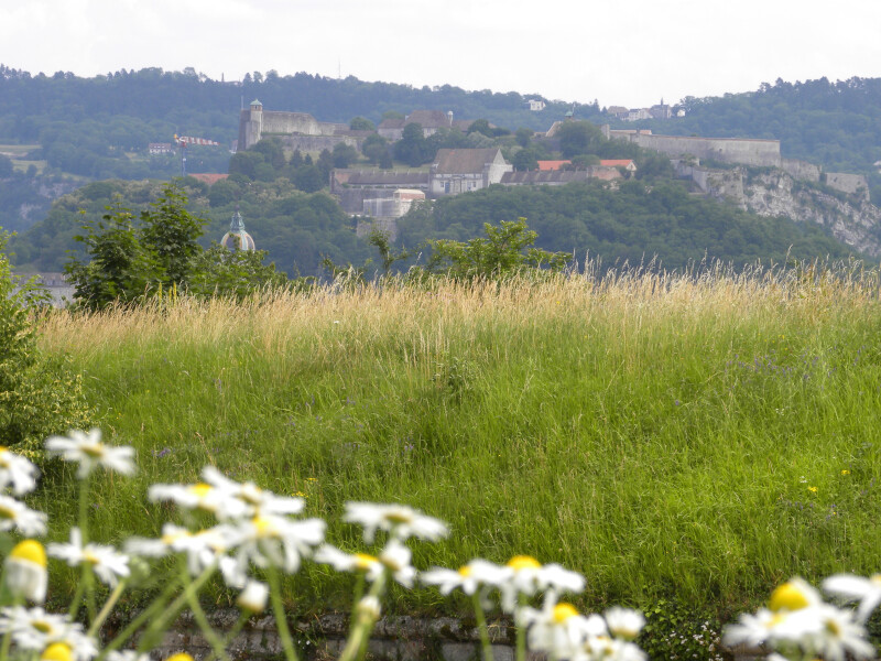 Visite commentée des Vieux Glacis