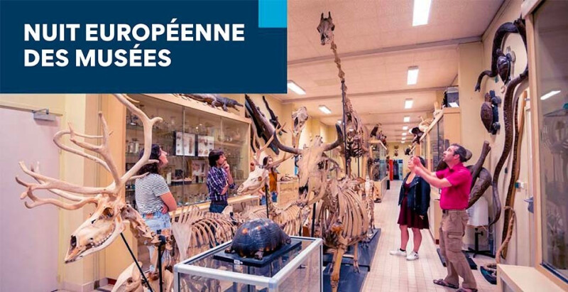 Nuit européenne des musées