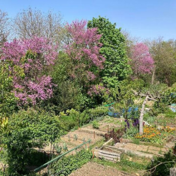 Découverte et balade surprise dans les jardins