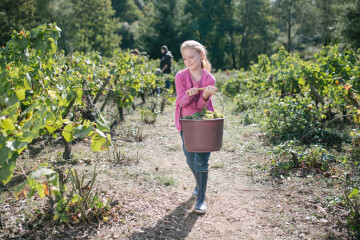 Vendanges en famille au musée