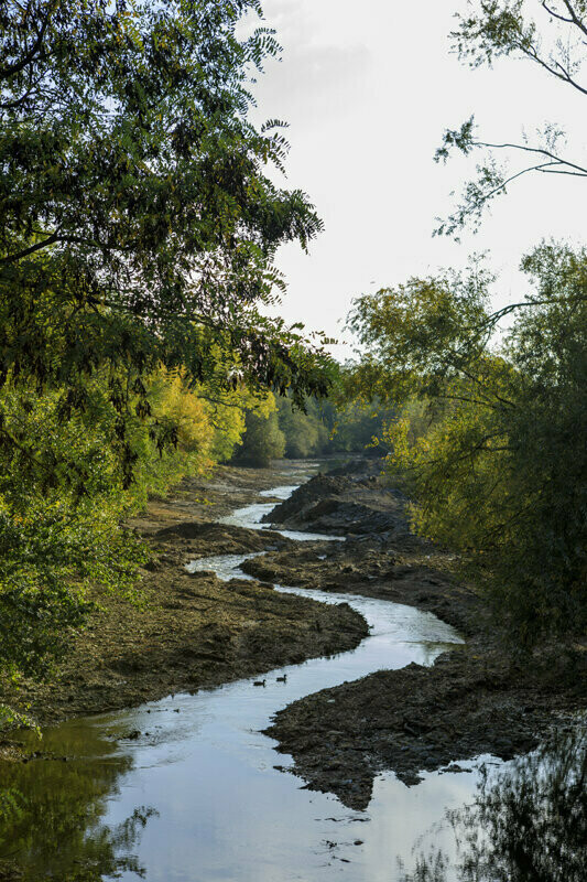 Le rêve du canal - Atelier 6/12 ans