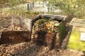 Un guide composteur répond en ligne à vos questions