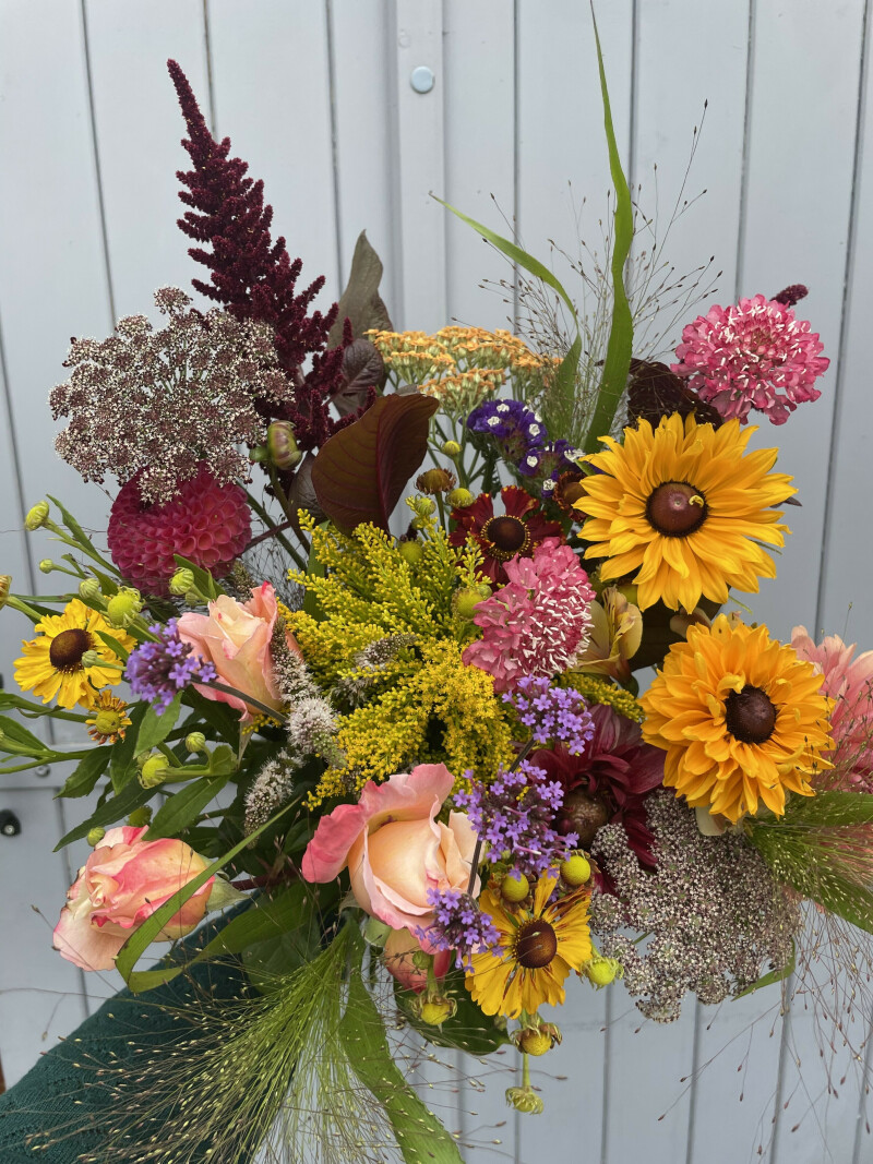 Les rendez-vous aux jardins