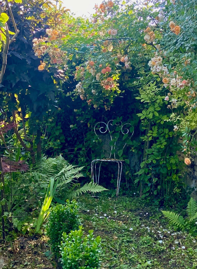 Visite du jardin « L'imparfaite et son jardinet »