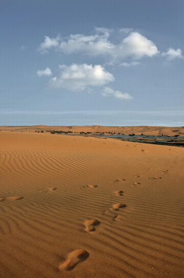 Travail autour du texte "Bérénice" de Racine