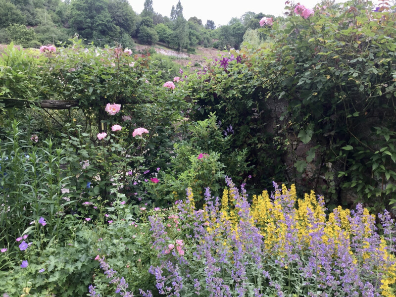 Visite du jardin des Clématites
