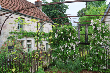 Visite du jardin « Un p'tit coin de charme »