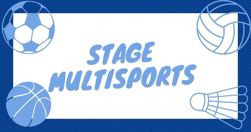 Stage multisports vivier
