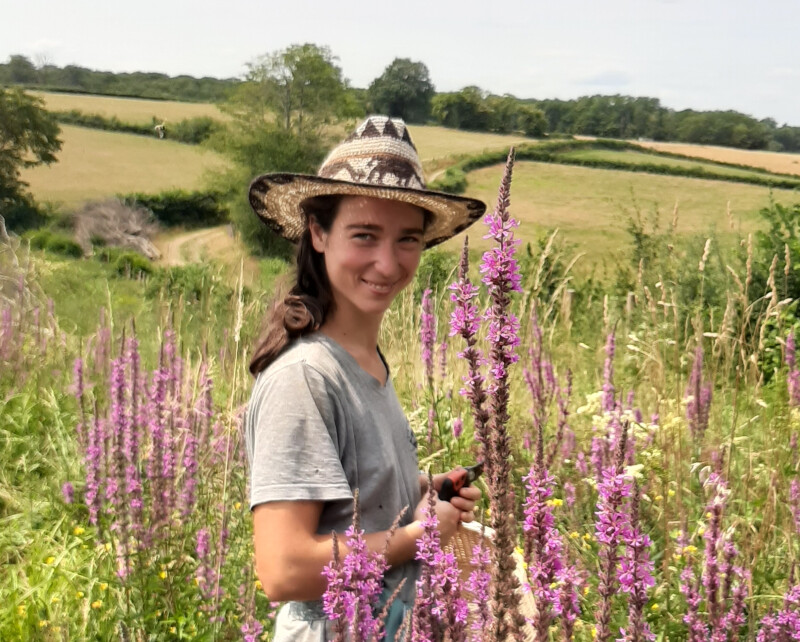 Balade champêtre : découverte des usages des plantes sauvages