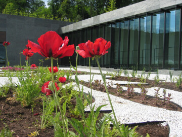 Visite-atelier "Esprit jardin"