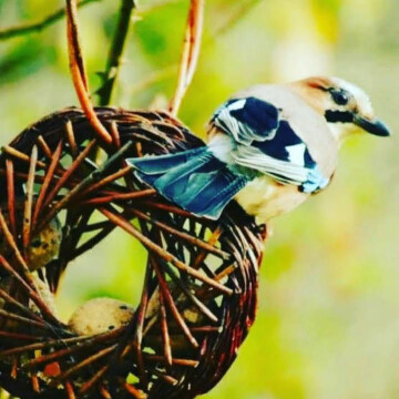 Atelier mangeoires mandala en osier