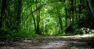 Nature & climat : remonter le temps pour comprendre le présent