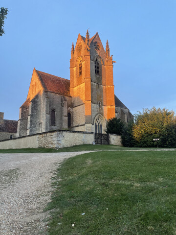 Visite libre du musée