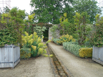 Déambulation dans le parc et le potager