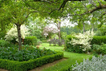 Balade dans les jardins