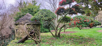 Une balade au jardin