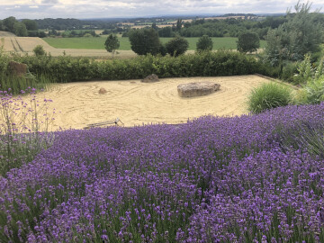 Visite libre du jardin