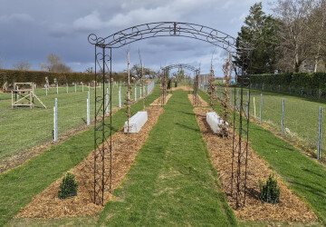 La dézerte et son évolution