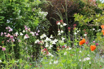 Visite du jardin « À la croisée des sens »
