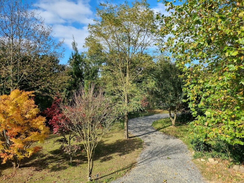 Visite libre du jardin
