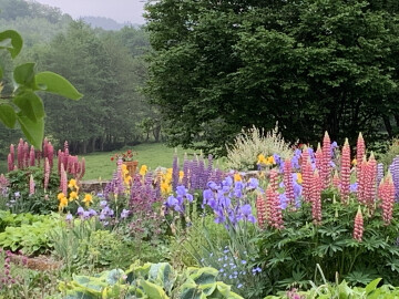 Le jardin de Banizette