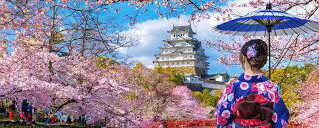 Hanami au pays du mistral