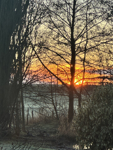 Spectacle déambulatoire : arbres en magie, une déambulation enchantée