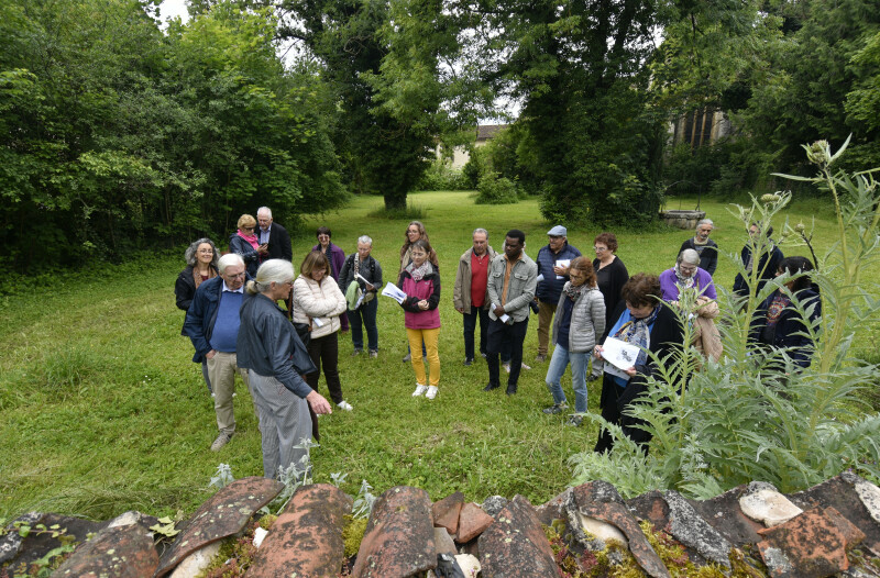 Visite jardin & plantes