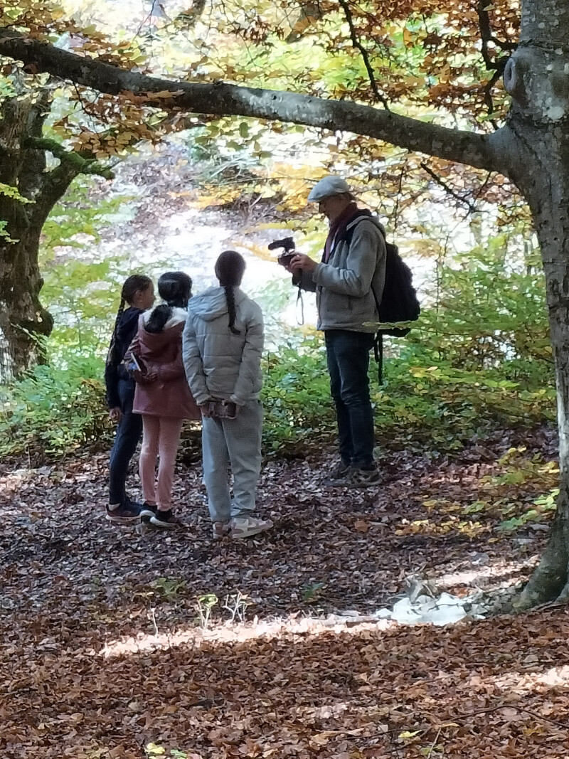 Petit arpentage photographique en forêt