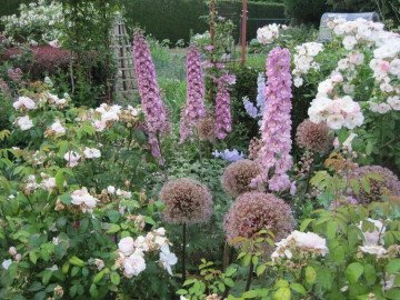 Visite du jardin de la Cardonnerie