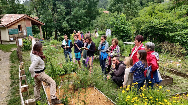 Causerie autour des plantes tinctoriales avec Marie Marquet