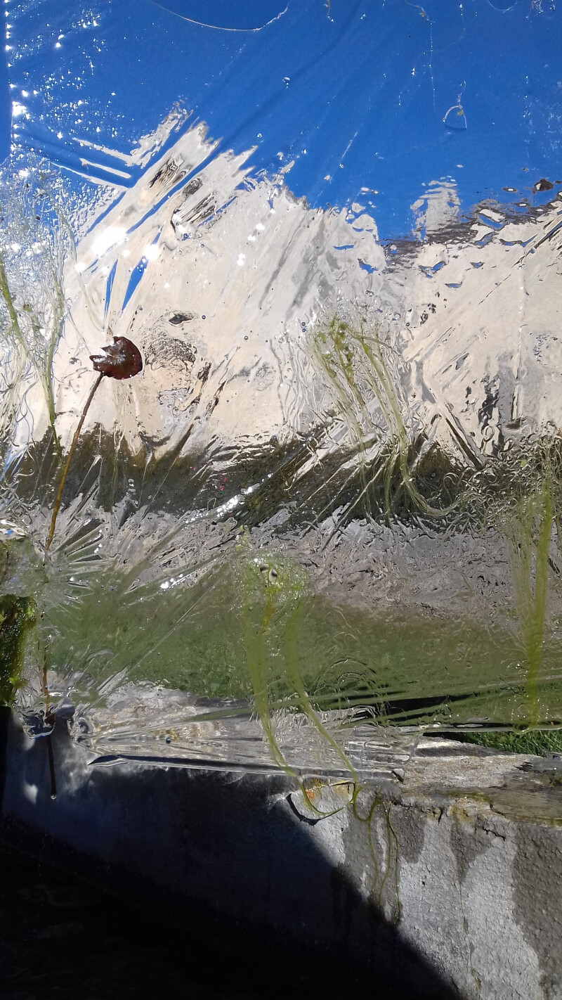 Le jardin des illusions