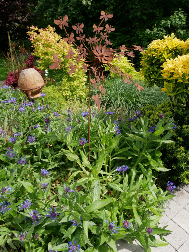 Visite du jardin "Le Remonval"