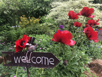 Visite du jardin de la chapelle en bois