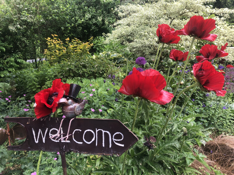 Visite du jardin de la chapelle en bois