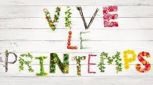 Programme ALSH Jules Verne - C'est le printemps !!!