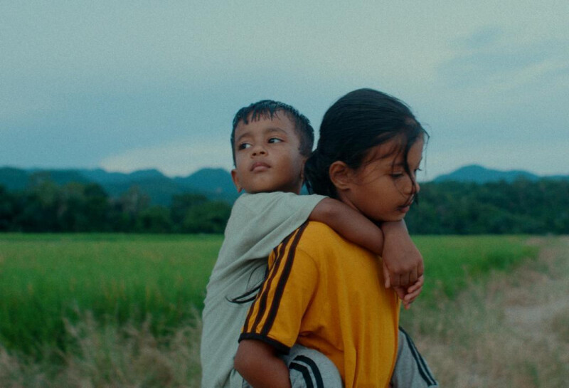 LES FLEURS DU MANGUIER