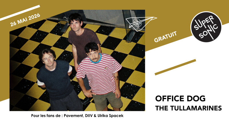 Office Dog • The Tullamarines