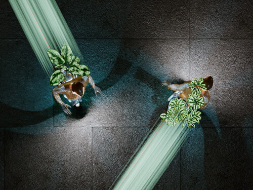 À l’écoute du vivant. Biomimétisme, entre arts et sciences