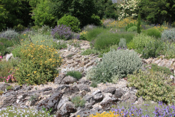 Visite guidée du jardin