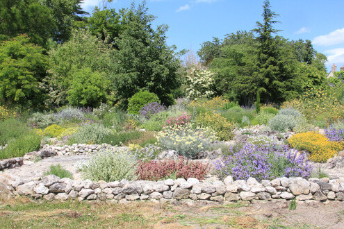 Promenade dans un jardin libre et foisonnant