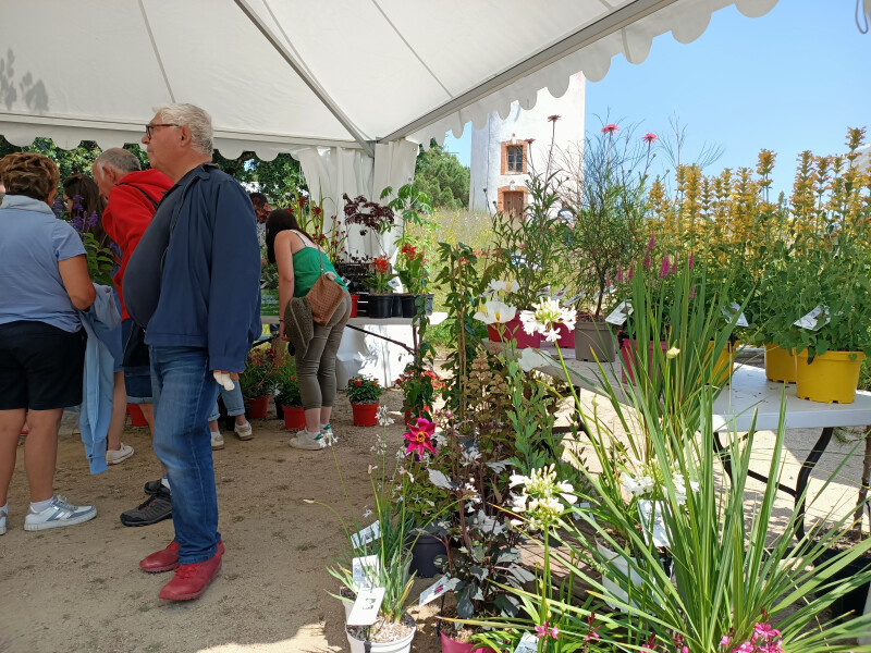 Jardin du Vent - Les épices