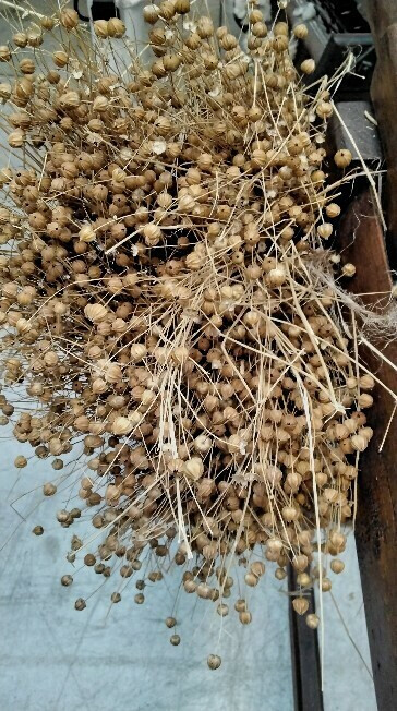 Exposition Lin'ovation