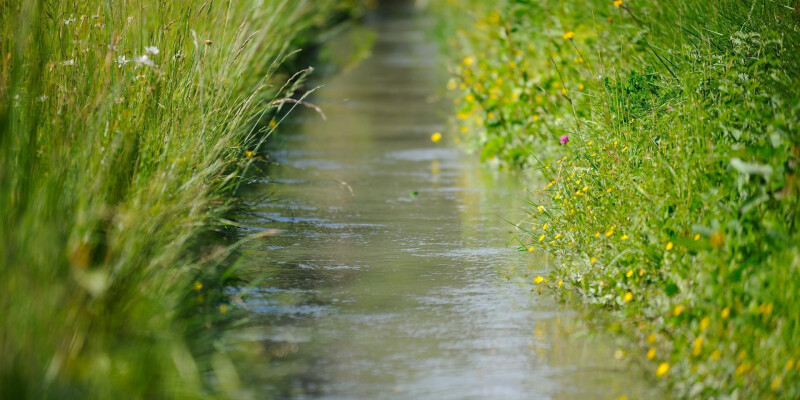 Rando vélo Voie verte