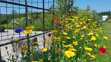 Troc de plantes au Château d'Hardelot