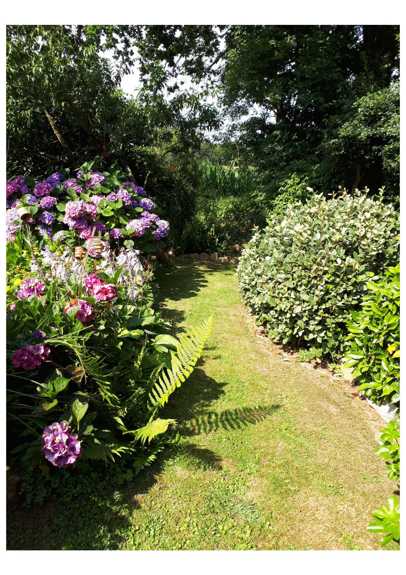 Visite libre du jardin botanique