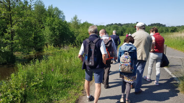 Balade sur les plantes sauvages comestibles
